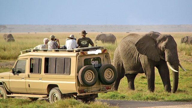 FactsAboutSerengetiNationalParks